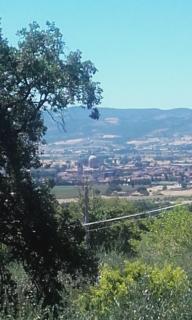 B&B Colle San Francesco - Asís - 3