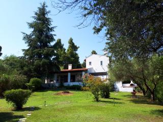 My Secret Garden - Swimming Pool Villa - Kriopigi - 5