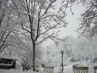 B&B IL BOSCHETTO - 2