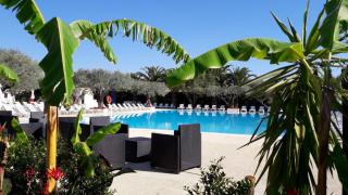 Nausicaa Village - SantʼAndrea Apostolo dello Ionio - 9