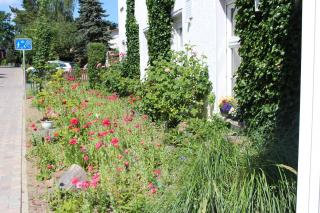 Baltisches Haus Pension Moll - 1