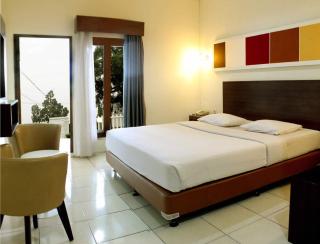Hotel Ariandri Puncak - 1