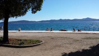 Little Cosy Apartment - Zadar - 8