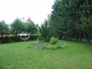 Limba - 1