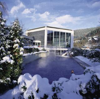 Atina Hotel - Bad Wildbad - 2