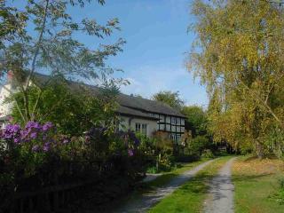 Yew Tree Cottage - Leominster - 2
