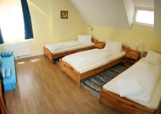 Hotel Alpin Murau - Murau - 1