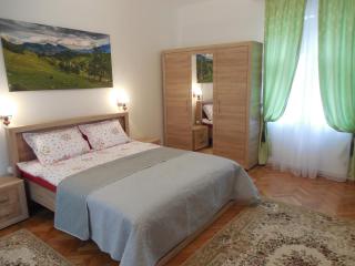 Apartament Anatol - Sibiu - 5