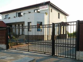 Pensiunea Aurelia - 0
