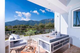 Olive Garden Villas and Apartments - Chrisi Ammoudia - 8