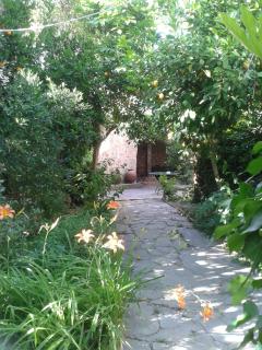 Casa Rural Corvina - Acebo - 7