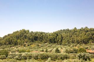 Olive Tree Apartments - Fourka - 3
