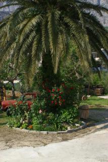 Apartment Tucepi 2676a - 8