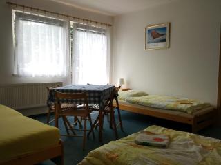 penzion Pomněnka - Lipova Lazne - 5