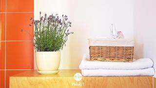 WAM Rooms - Giżycko - 5