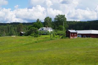 The Sheep Inn B&B - 9