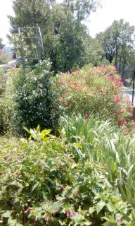 Apartman Gabi - 7