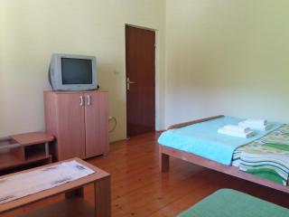 Studio Apartments Petkovic - 3