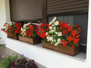 Apartma Jezero - Most na Soči (Santa Lucia d'Isonzo) - 6