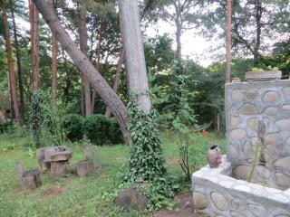 Guest House Kamea - Sighnaghi - 1