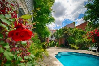 Lamothe House Hotel a French Quarter Guest Houses Property - New Orleans - 2
