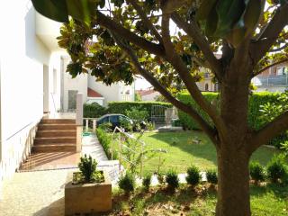 Local lifestyle - Zadar - 9