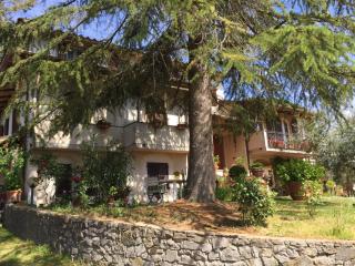 Da Piero e Paola - Arezzo - 9