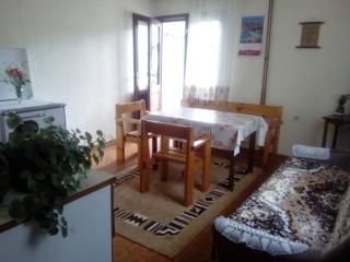 Guesthouse Andrea A - Žabljak - 0