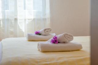 Apartments Šimić - 3