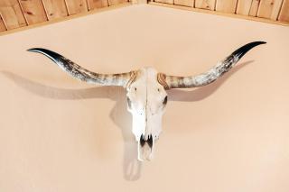 The Longhorn Ranch Resort Lodge & RV Park - Dubois - 6