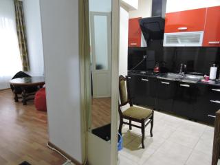 Apartment at sunny yard - Tbilisi - 8