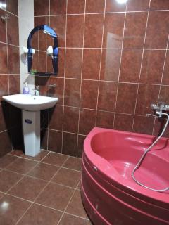 Apartment at sunny yard - Tbilisi - 1