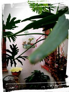 Hotel Miami - Tossa de Mar - 1