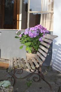 La Passiflore B&B - Bossière - 6