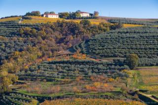 Agriturismo Casa Zen - 7