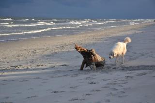 Wil-Art Jastarnia Pokoje i apartamenty - 1