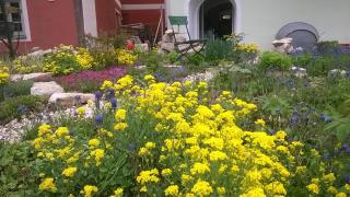 FeWo An der Bruecke - 8