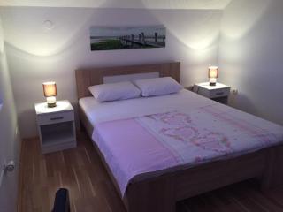 Apartments Premović Nikšić - Nikšić - 1