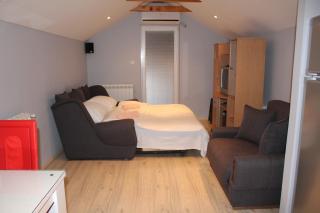 Sofija apartmani - Arandjelovac - 9