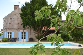 La maison de Thiré - Thiré - 1