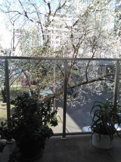 Pirosmani Apartment - Batumi - 5