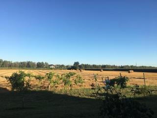 B&B DE CAROL - Gramignazzo - 0