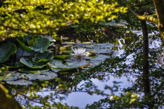 Håkesgård Bed&Garden - 1