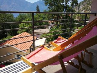 Apartment Babovic Orahovac Kotor - Kotor - 9