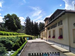 Pension Schaumannův Dvůr - 2