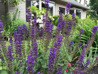 Dragonfly Guest House - 3