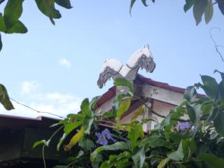 Finca Lindos Ojos - Estelí - 6