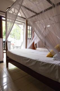 Villa Taprobane - Negombo - 1