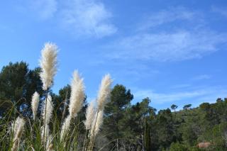 Les Aludes - La Destrousse - 8