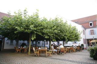 Landhotel zum Schwanen mit Restaurant Mona Liza - 4
